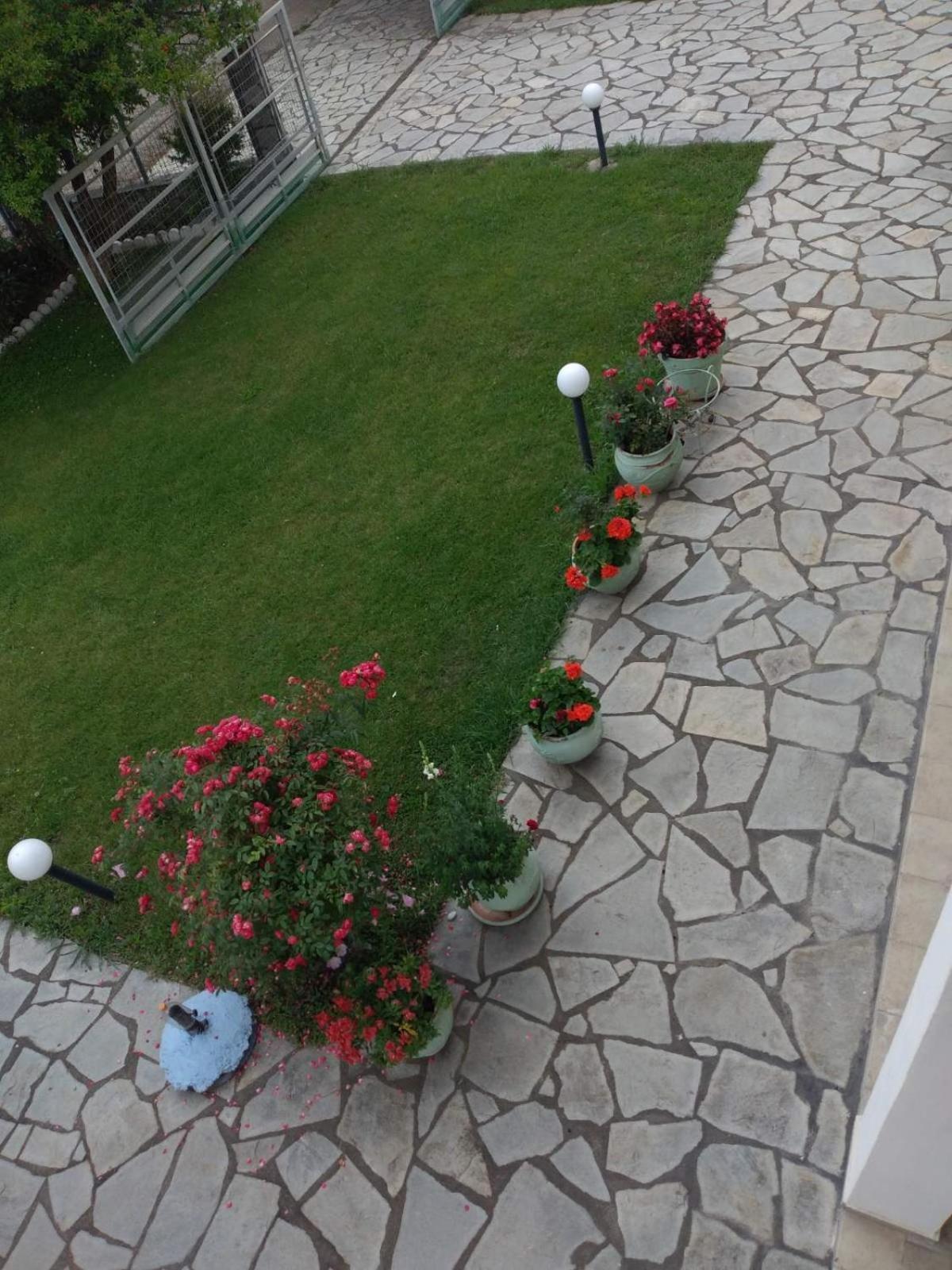 Villa Jenny Leptokarya  Exterior foto