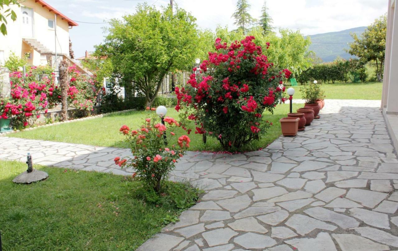Villa Jenny Leptokarya  Exterior foto
